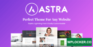 stra Pro Addon v4.3.1 – Perfect Theme For Any Website